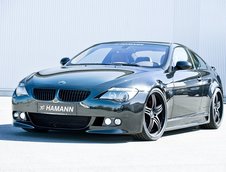 Hamann a modificat BMW Seria 6 Facelift