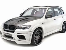 Hamann Flash Evo M