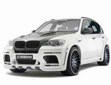 Hamann Flash Evo M