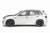 Hamann Flash Evo M