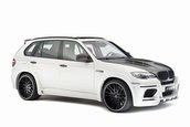 Hamann Flash Evo M