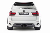 Hamann Flash Evo M