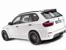 Hamann Flash Evo M