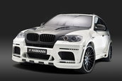 Hamann Flash Evo M