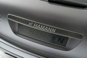 Hamann Guardian