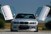 Hamann Laguna Seca II