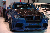 Hamann Tycoon Evo M