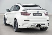 Hamann TYCOON EVO