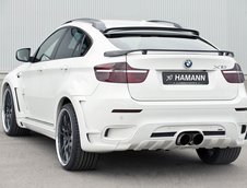 Hamann TYCOON EVO