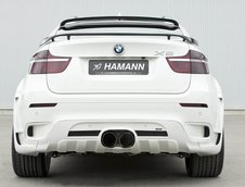 Hamann TYCOON EVO