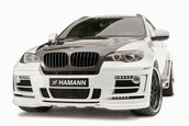 Hamann TYCOON EVO