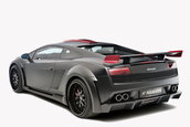 Hamann Victory II
