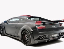 Hamann Victory II