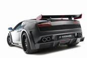 Hamann Victory II