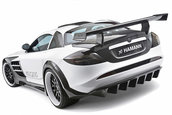 Hamann Volcano