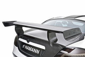 Hamann Volcano