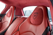 Hamann Volcano