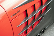 Hamann Volcano
