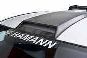 Hamann Volcano