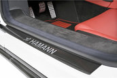 Hamann Volcano