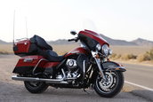 Harley Davidson 2010