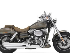 Harley Davidson 2010