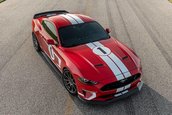 Heritage Edition Mustang