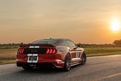 Heritage Edition Mustang