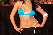 HIN Chicago Illinois 2007