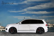 Hofele Royster GT 460 sau Touareg de 480 CP