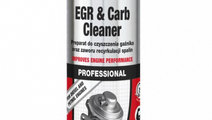 Holts Egr And Carb Cleaner Spray Curatat EGR Si Ca...