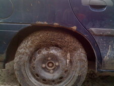 Honda Civic acaparata de omizi olandeze