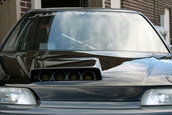 Honda Civic CRX Heart and Soul
