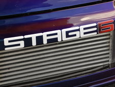 Honda Civic(s): Doua bestii cameleon