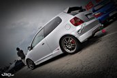 Honda Civic Type-R by Andrei - pasiunea pentru motoare aspirate