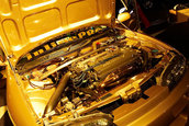 Hot Import Nights - Boston