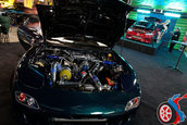 Hot Import Nights - Boston