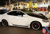 Hot Import Nights - Boston