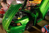 Hot Import Nights - Boston