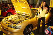 Hot Import Nights - Boston