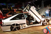 Hot Import Nights - Boston