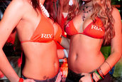 Hot Import Nights - Boston