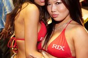Hot Import Nights - Boston
