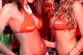 Hot Import Nights - Boston