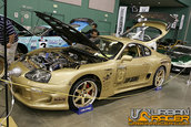 HOT IMPORT NIGHTS California 2006