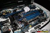 HOT IMPORT NIGHTS California 2006