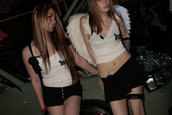 HOT IMPORT NIGHTS California 2006