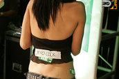 HOT IMPORT NIGHTS California 2006