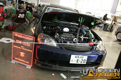 HOT IMPORT NIGHTS California 2006