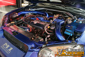 HOT IMPORT NIGHTS California 2006